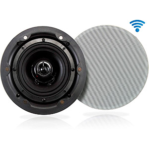 Ceiling and Wall Mount Speaker